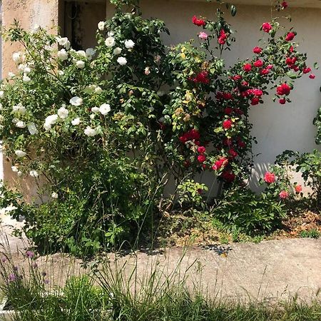 Le Jardin Suspendu Apartment Rillieux-la-Pape Bagian luar foto