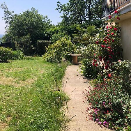 Le Jardin Suspendu Apartment Rillieux-la-Pape Bagian luar foto