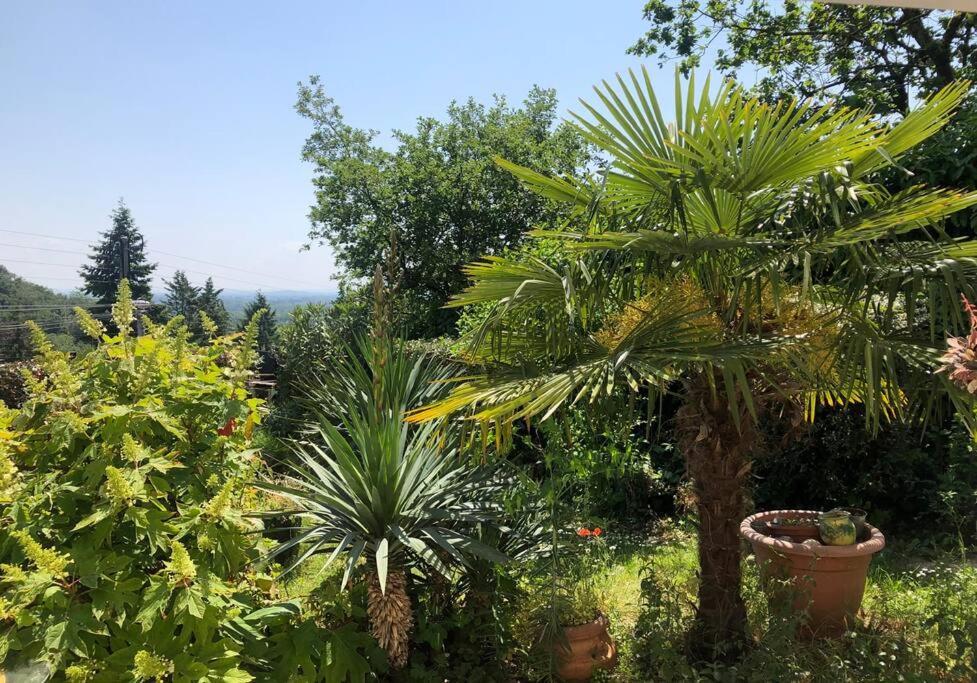 Le Jardin Suspendu Apartment Rillieux-la-Pape Bagian luar foto