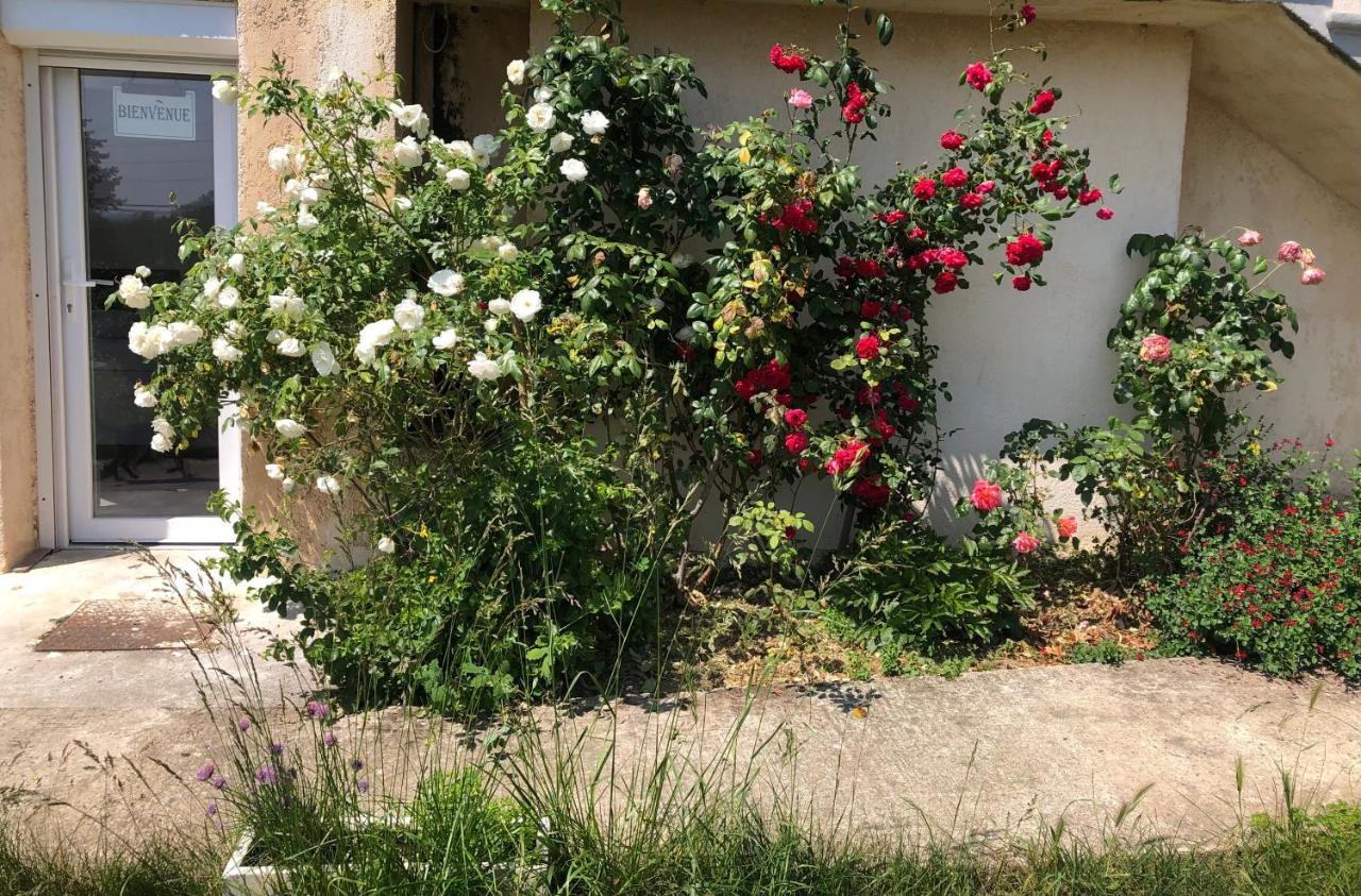 Le Jardin Suspendu Apartment Rillieux-la-Pape Bagian luar foto