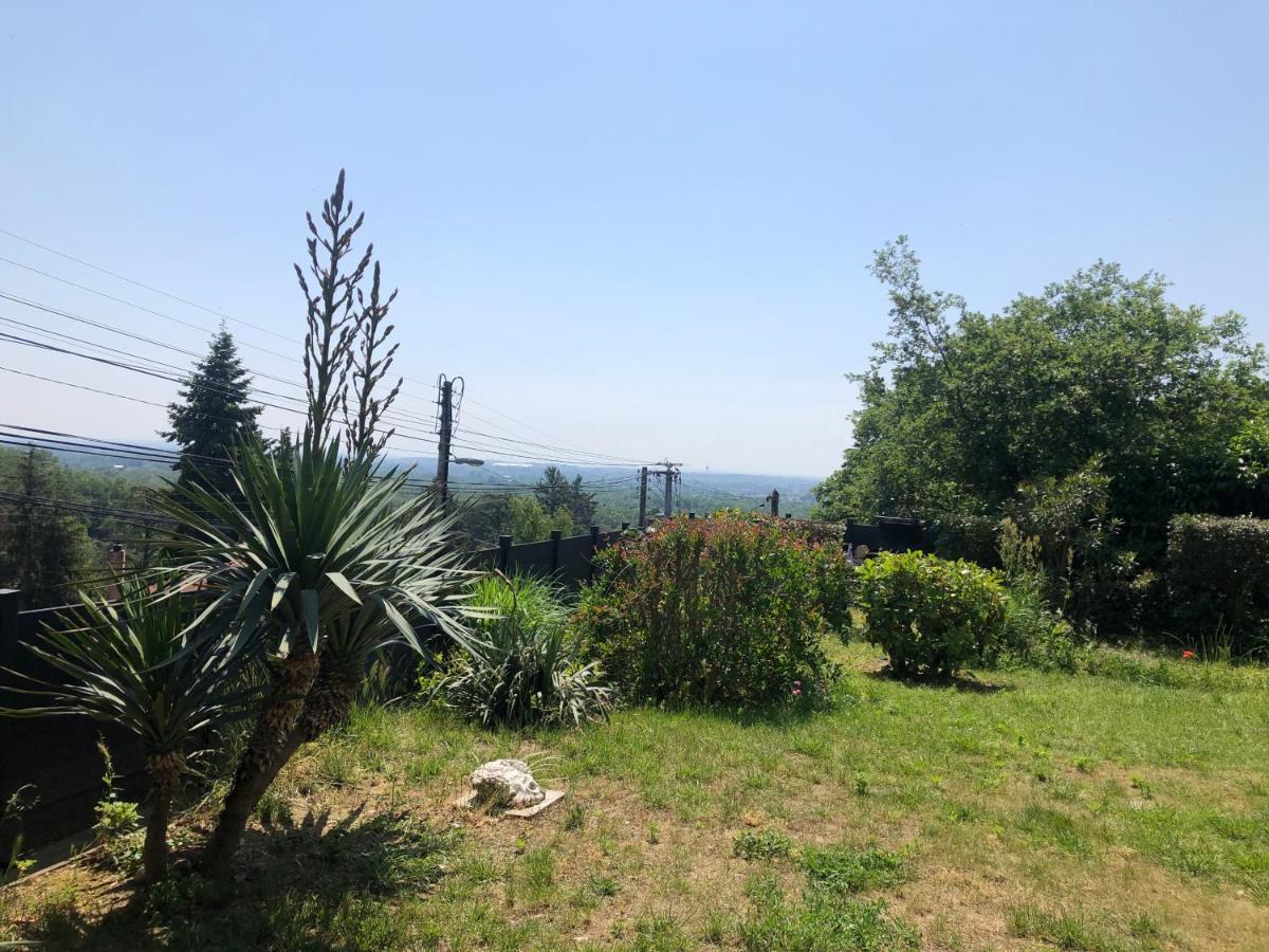Le Jardin Suspendu Apartment Rillieux-la-Pape Bagian luar foto